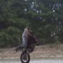 Robert Schroeder Photo 22