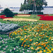 Eloise Flowers Photo 9