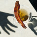 Perry Martini Photo 8