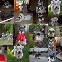 Joyce Belcher Photo 10