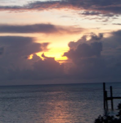 Byron Hamby Photo 5