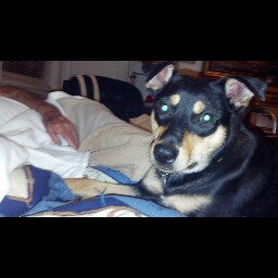 Jose Valdez Photo 7