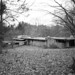 Dorothy Wright Photo 17