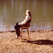 Daniel Musgrove Photo 24