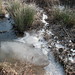 Connie Sellers Photo 22