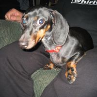 Jayne Loomis Photo 3