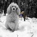 Holly Heard Photo 17