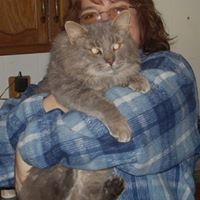 Donna Chambers Photo 31