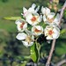 Spring Stewart Photo 12