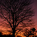 Dawn Hansen Photo 27