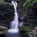 Glen Adams Photo 46