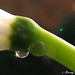 Marcy Bloom Photo 8