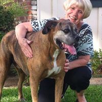 Carolyn Jackson Photo 26