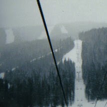 Dave Gardner Photo 31