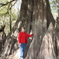Linda Palmer Photo 3