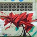 Hugo Muro Photo 12