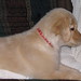 Sandy Jacobs Photo 14