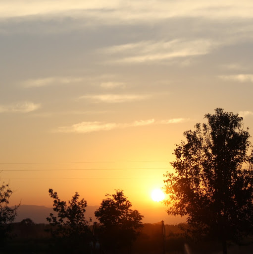 Teresa Heath Photo 19