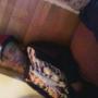 Keith Samuels Photo 21
