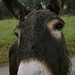 Aaron Custer Photo 12