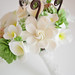 Teri Clay Photo 7