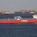 Douglas King Photo 38