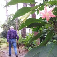 Debbie Lanier Photo 9