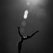Dennis Smith Photo 9