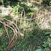 Martha Sims Photo 16