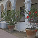Barbara Hall Photo 31