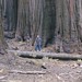 Larry Groves Photo 9