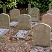 Margaret Lacey Photo 9