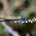 Theresa Sage Photo 15