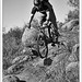 James Steed Photo 41