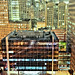 Thomas Jacobs Photo 10