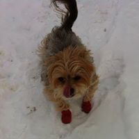 Michele Twomey Photo 4
