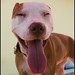 Maggie Sweet Photo 15