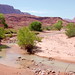 Lee Ferry Photo 18