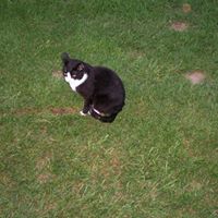 Barbara Blankenship Photo 20