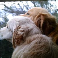 Teresa Childress Photo 7