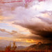 Ryan Draper Photo 29