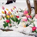 James Stover Photo 16