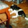 Edward Thacker Photo 13