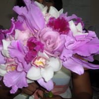 Lorna Webster Photo 7