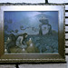 Ruth Linton Photo 9