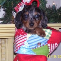 Kellie Thompson Photo 24