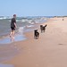 Amy Theiss Photo 12