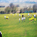 Christopher Halstead Photo 17