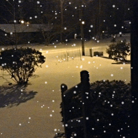 John Hutchens Photo 26