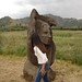 Gina Stump Photo 7